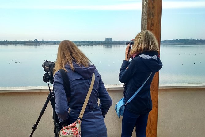 Donana National Park and El Rocío: Guided Tour from Seville - Starting early from Seville