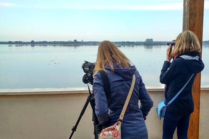 Donana National Park and El Rocío: Private Tour from Seville - Why this full-day Doñana trip is worth considering