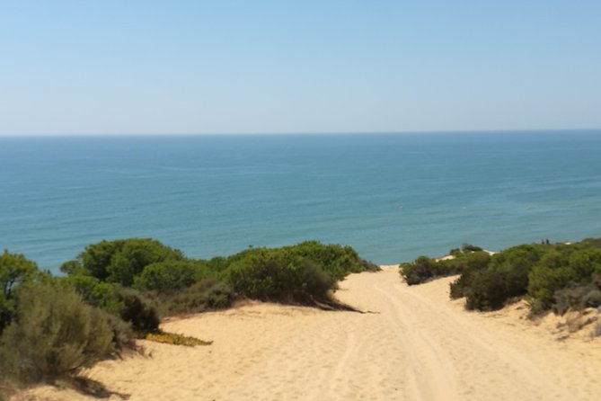 Donana National Park: Guided Day Tour from Seville - Three hours inside Doñana’s changing habitats