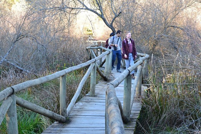 Donana National Park: Guided Day Tour from Seville - What the $95.34 price represents