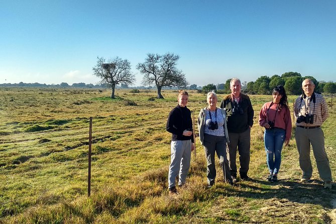 Donana National Park: Guided Day Tour from Seville - Weather, flooding, and seasonal wildlife