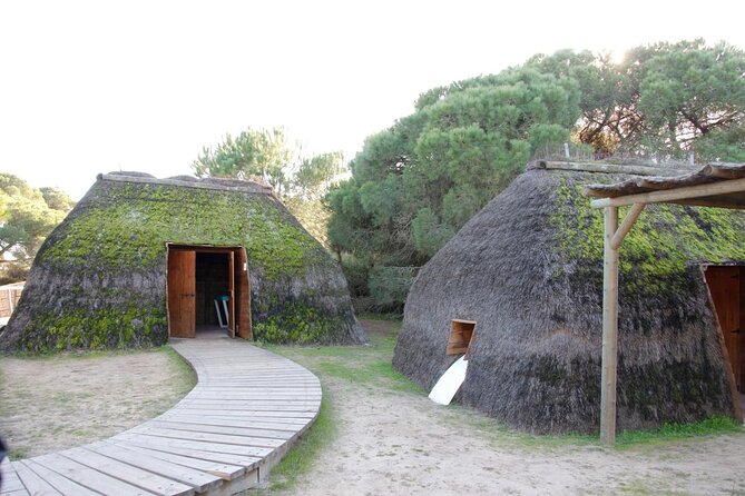 Doñana National Park in 4x4 and El Rocío - Key points to know before booking