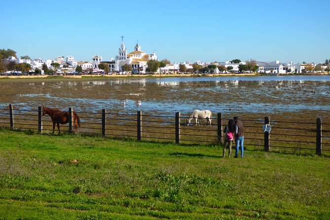 Doñana National Park in 4x4 and El Rocío - What the dry season can change