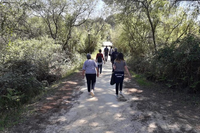Doñana National Park in 4x4 and El Rocío - Acebrón Palace: an unexpected hour in the park