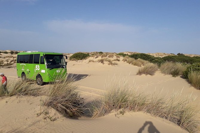 Doñana National Park in 4x4 and El Rocío - The four-hour Doñana 4x4 route