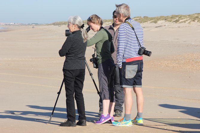 Donana National Park & Matalascanas Guided Tour from Seville - Transport, timing, and practical comfort
