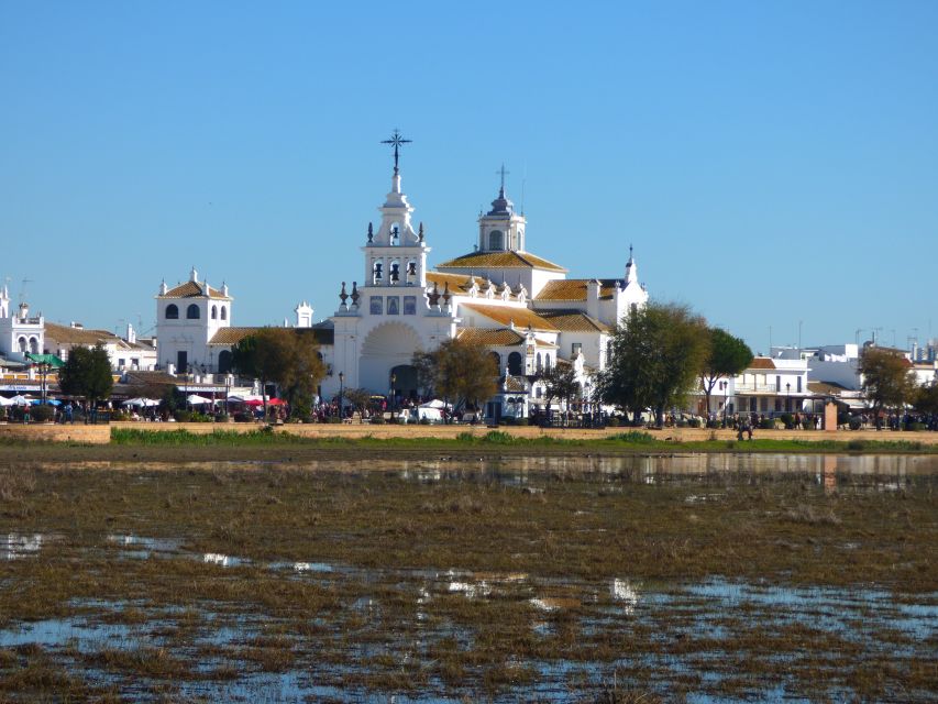 Doñana National Park Off-Road Tour from Seville - Practical Details for a Comfortable Day