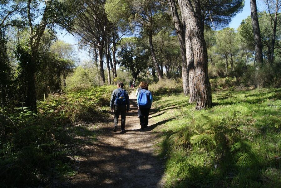 Doñana National Park Off-Road Tour from Seville - From Seville to El Rocío