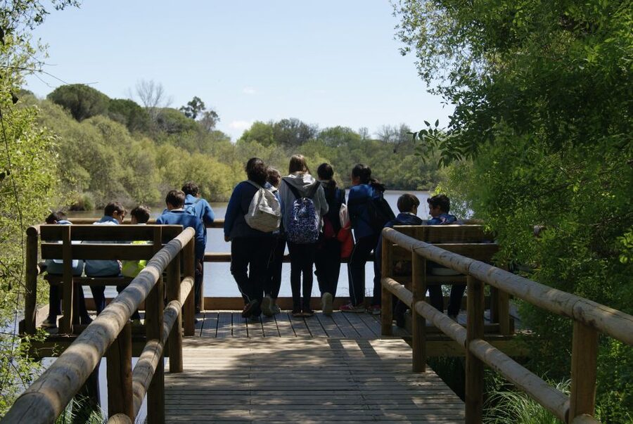 Doñana National Park Off-Road Tour from Seville - Searching for Iberian Lynx and Imperial Eagles