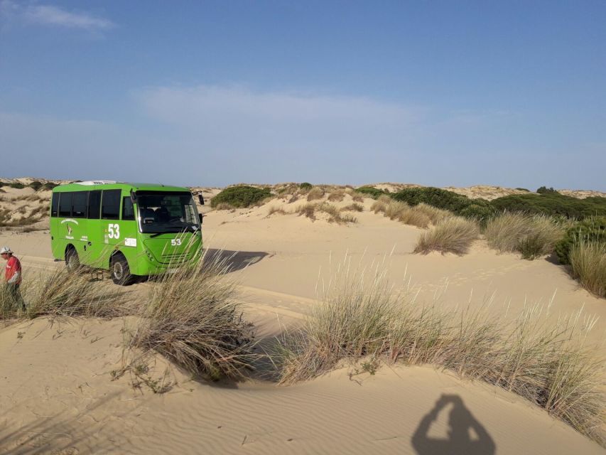 Doñana National Park Off-Road Tour from Seville - Walking Along the Atlantic Beach