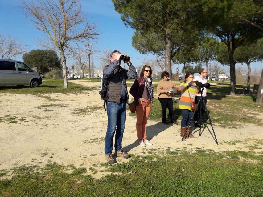 Doñana National Park Off-Road Tour from Seville - Is $105 a Fair Price?