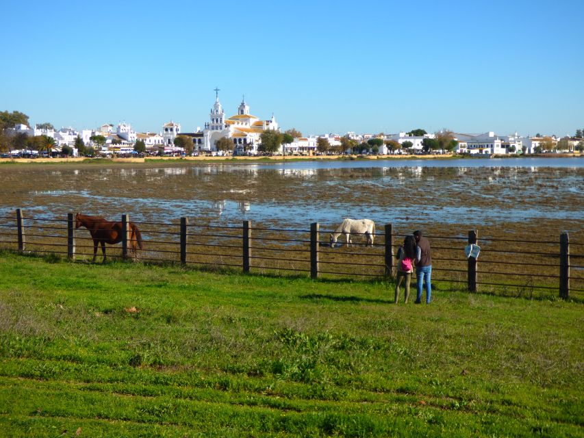 Doñana National Park Off-Road Tour from Seville - Entering Doñana by Special-Permit 4WD