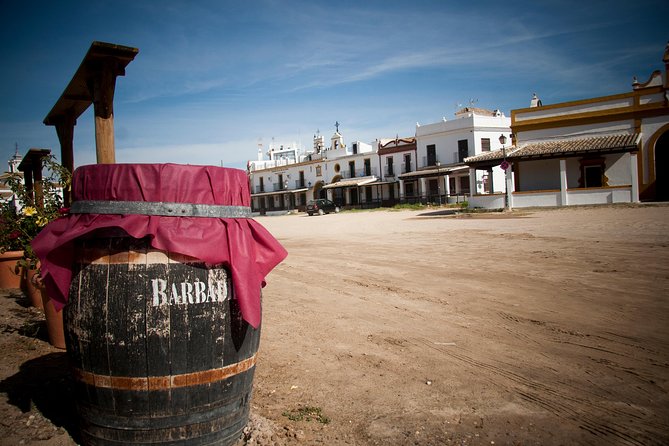 El Rocio, Donana Natural Park and Matalascanas Beach Day Trip from Seville - Practical advice for a smoother day
