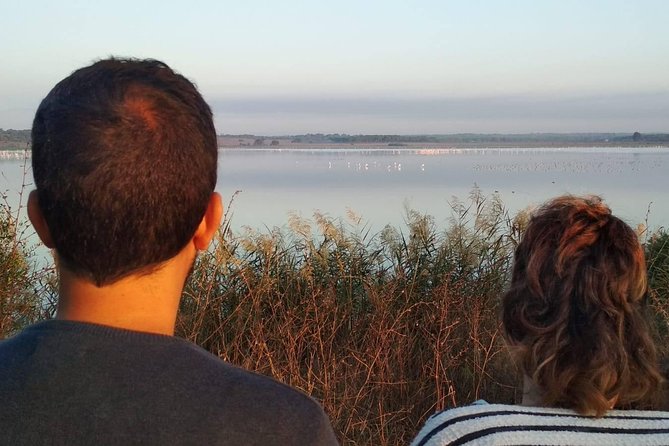 El Rocio, Donana Natural Park and Matalascanas Beach Day Trip from Seville - Riding through Doñana by 4WD