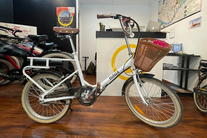 Electric Bicycle Rental in Seville - Choosing between a standard electric bike and a fatbike