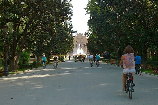 Electric Bike Rental 3 hours - Starting at C. de Castelar 9