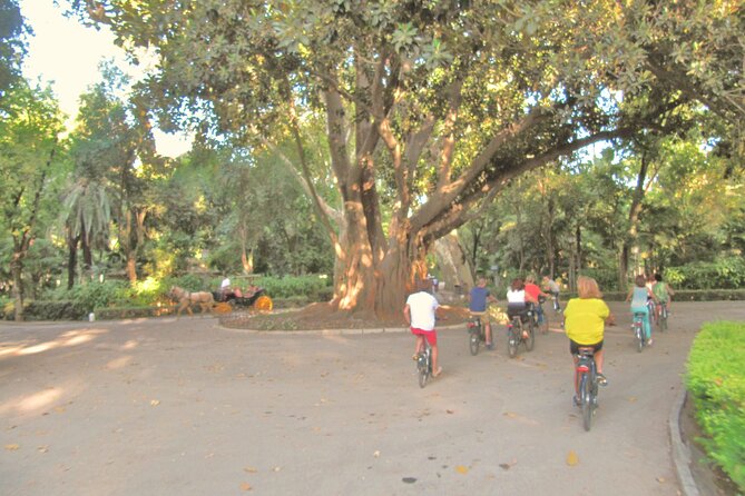 Electric Bike Rental 3 hours - Choosing your route through Seville