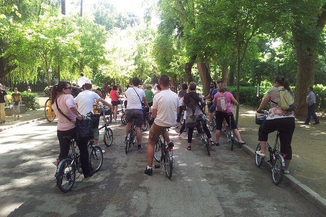 Electric Bike Tour in Seville - What the private format changes