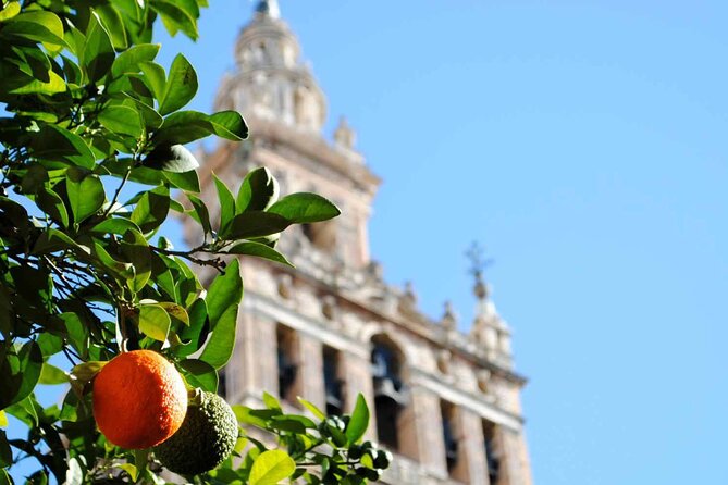 Essential Seville Tour - A smart first walk through Seville