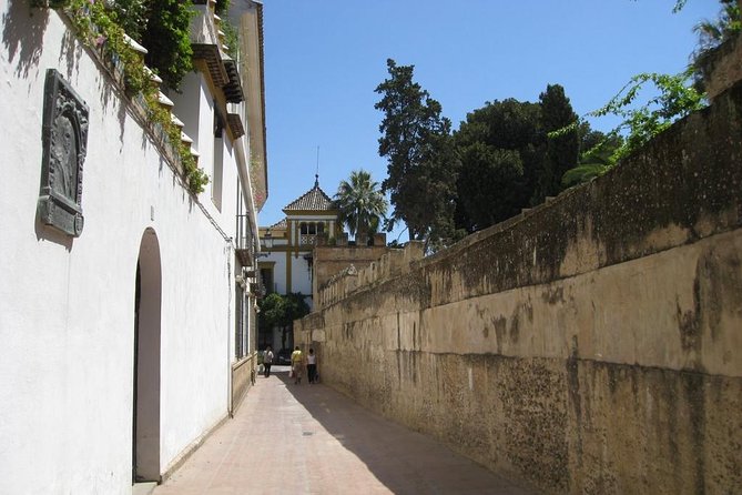 Essential Seville Tour - Through Arenal and the Postigo del Aceite
