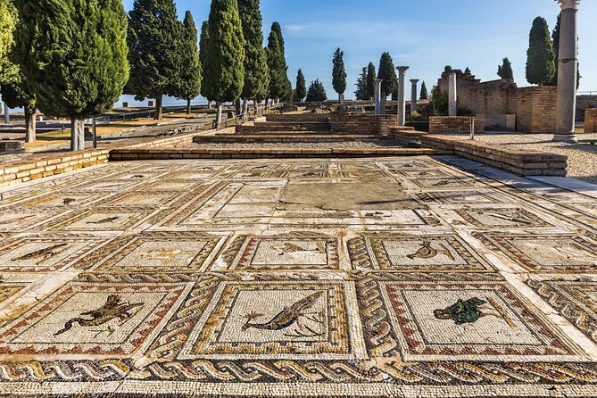 Excursion to Italica from Seville - The House of the Birds and Roman domestic life