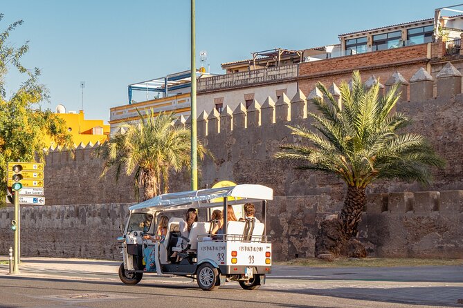 Expert Tour of Seville in Private Eco Tuk Tuk - Baroque power and Seville’s old tobacco factory
