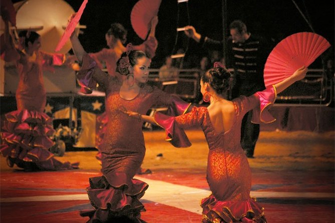 Flamenco Show and Tapas in Seville - What your guide adds between the claps