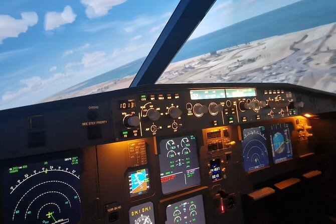 Flight Simulator Experience Seville - Picking New York at night or the Swiss Alps