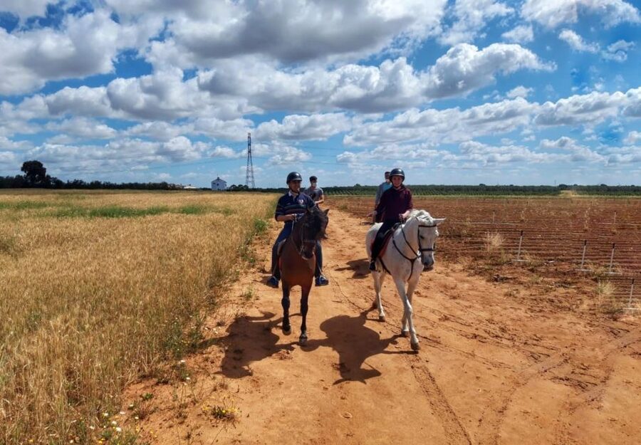 From Seville: Andalusian Horseback Ride - Key points to know before you book