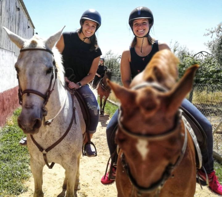 From Seville: Andalusian Horseback Ride - Should you book the Andalusian horseback ride?