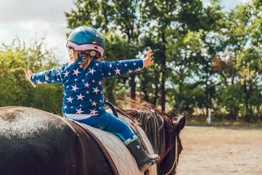 From Seville: Andalusian Horseback Ride - Leaving Seville for the Andalusian countryside