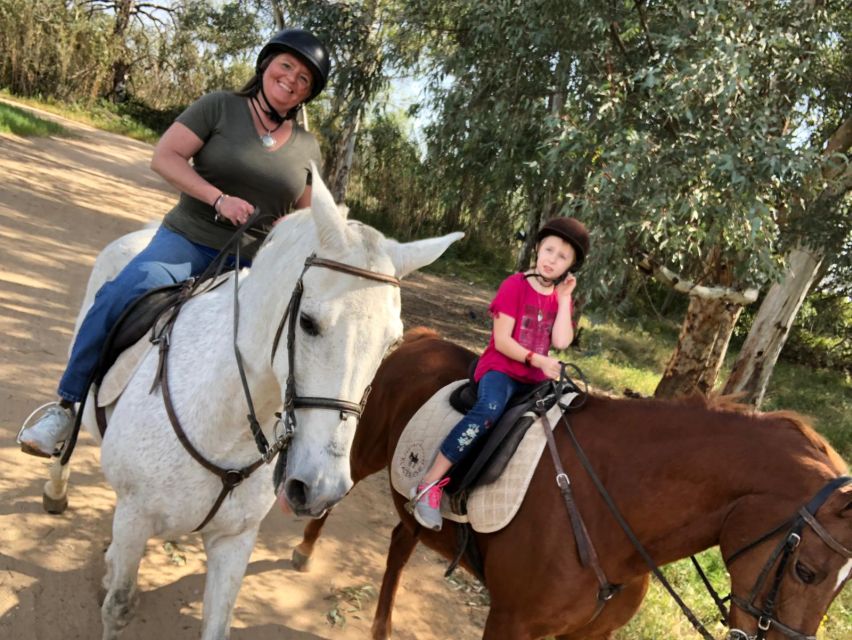 From Seville: Andalusian Horseback Ride - What the ride feels like for beginners