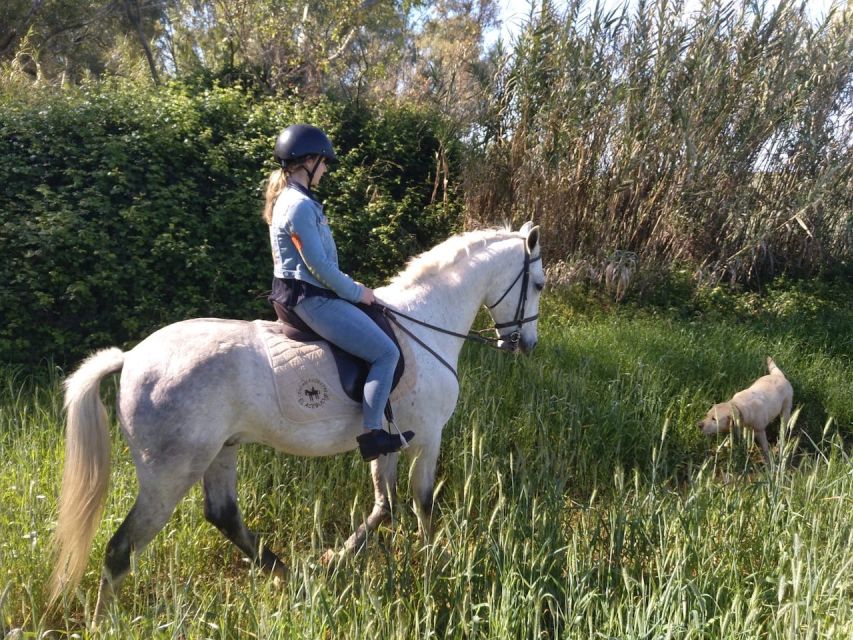 From Seville: Andalusian Horseback Ride - Price, inclusions, and the real value