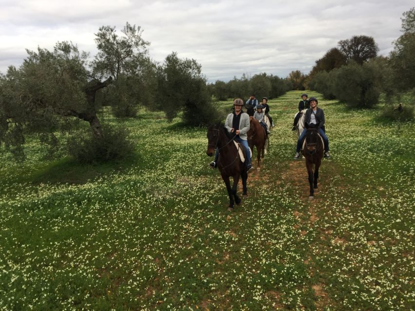 From Seville: Andalusian Horseback Ride - Practical details that can make or break the morning