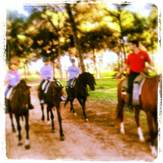 From Seville: Andalusian Horseback Ride - Who will enjoy this ride most
