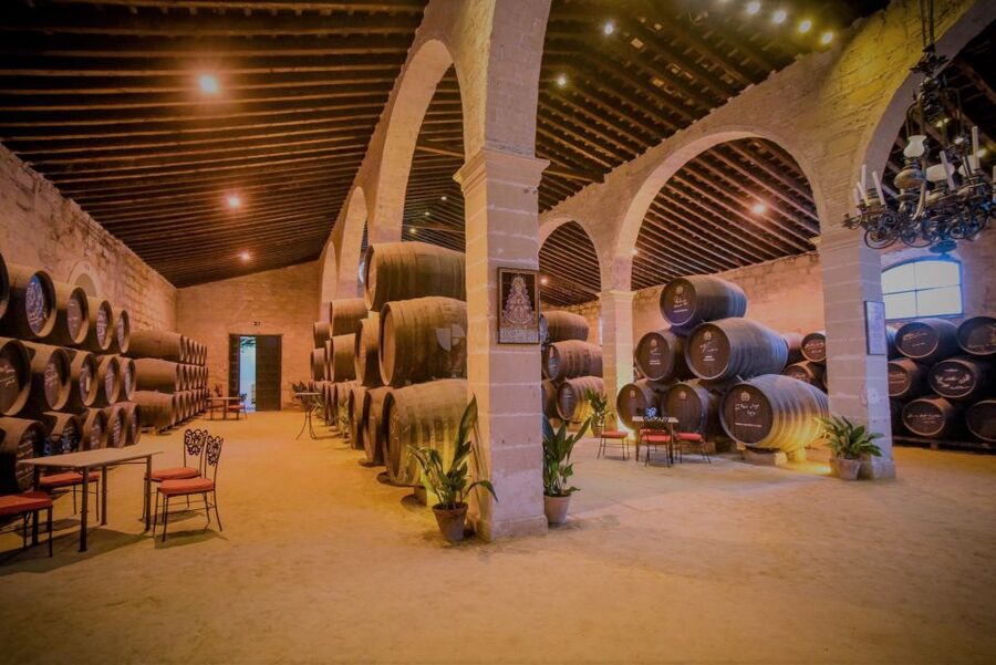 From Seville: Cadiz and Jerez de la Frontera Day Trip - What the guide adds to the day