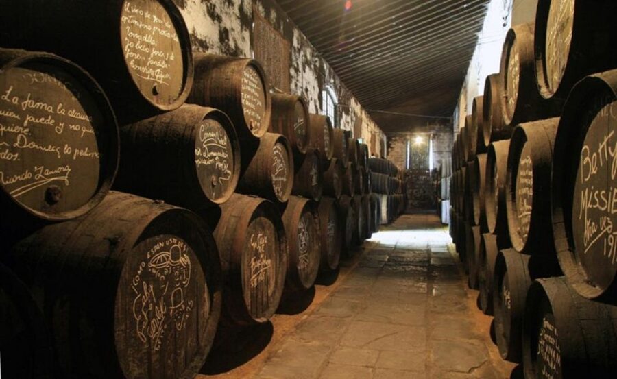 From Seville: Cadiz and Jerez de la Frontera Day Trip - Coach comfort, timing, and the long return