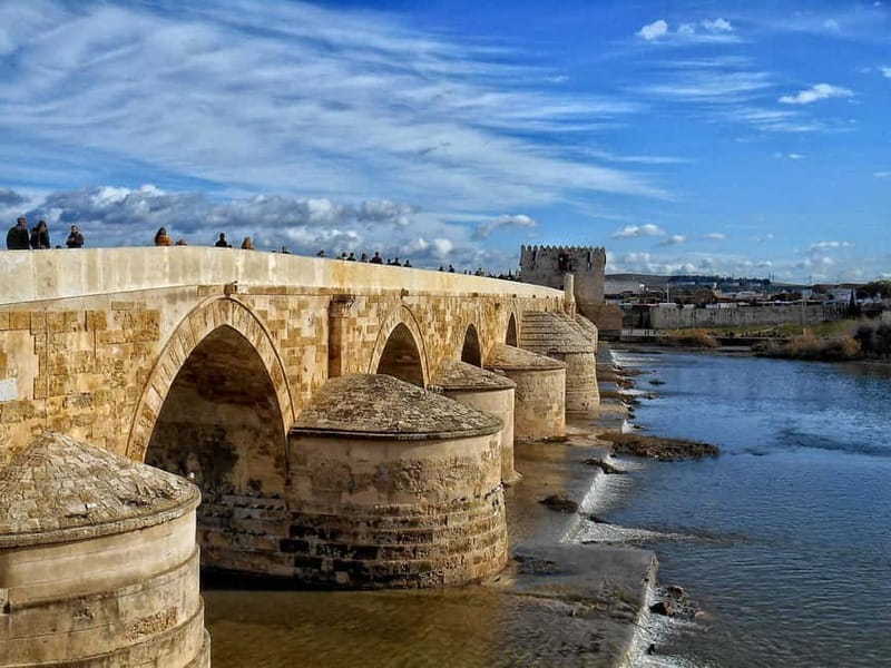 From Seville: Cordoba Day Trip with Guided Tour - The morning coach ride and La Carlota stop