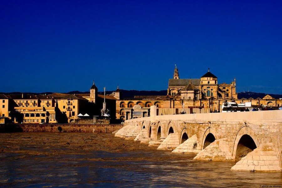 From Seville: Cordoba Full-Day Tour with Tickets Included - The synagogue and the quieter side of Córdoba