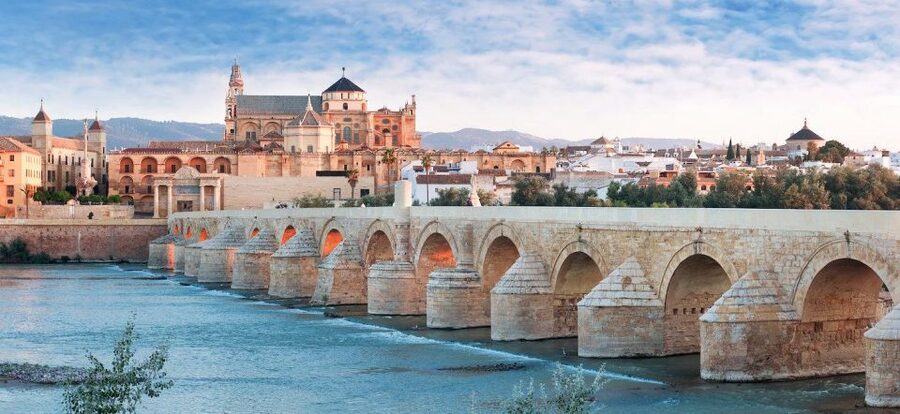From Seville: Cordoba Full-Day Tour with Tickets Included - One hour of free time, and how to use it