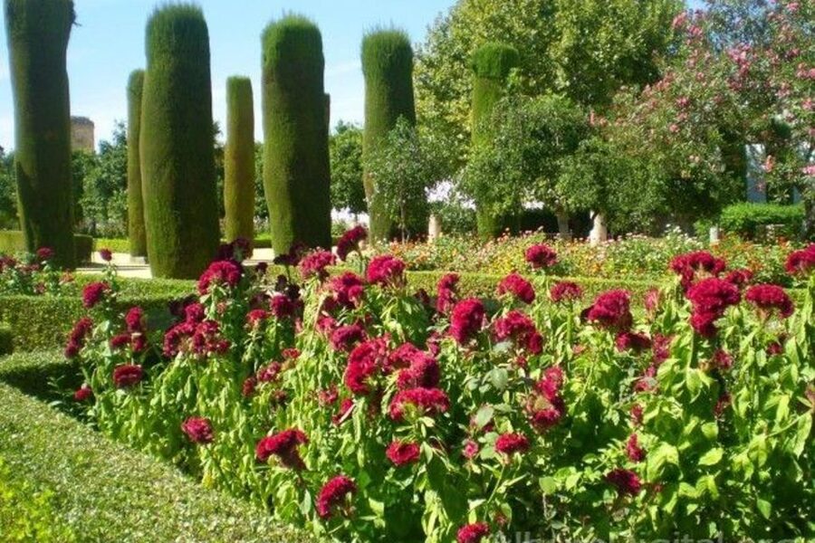 From Seville: Cordoba Full-Day Tour with Tickets Included - Who should book this Córdoba day trip?