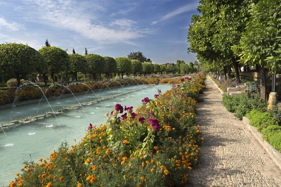 From Seville: Cordoba, the Mosque and Carmona Day Trip - Key points to know before booking