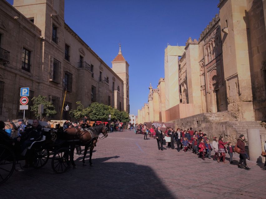 From Seville: Cordoba, the Mosque and Carmona Day Trip - The guides are a major part of the value