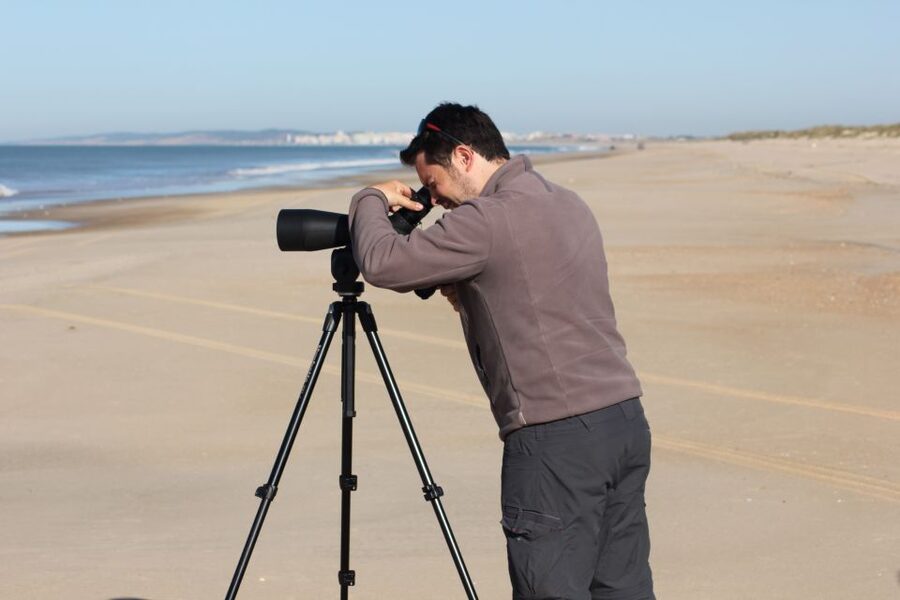 From Seville: Doñana, El Rocio, and Matalascañas Beach Tour - Two hours at Matalascañas Beach