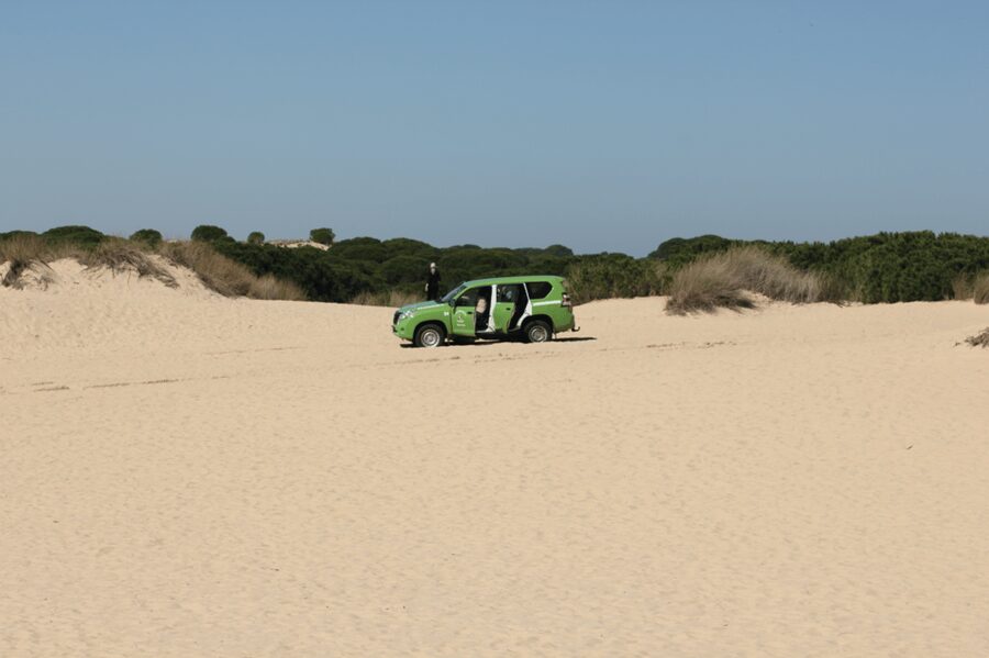 From Seville: Doñana, El Rocio, and Matalascañas Beach Tour - The morning ride from central Seville