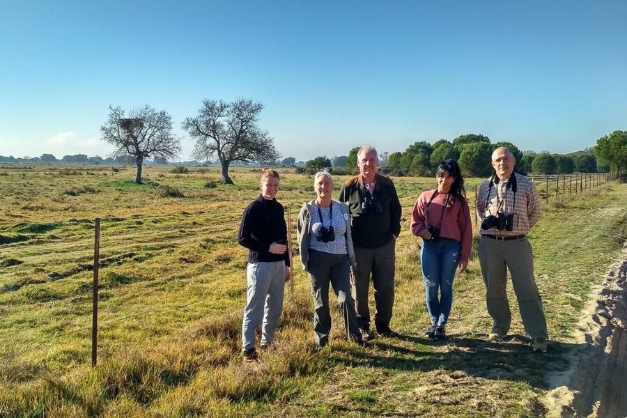 From Seville: Doñana National Park Day Trip - El Rocío, a short cultural pause