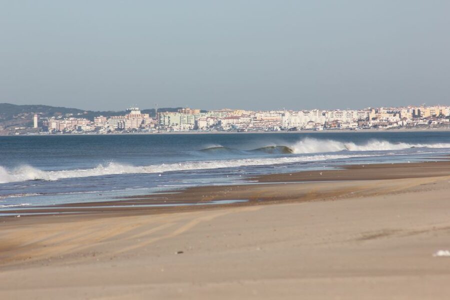 From Seville: Doñana National Park Full-Day Private Tour - The 105-minute drive from Seville