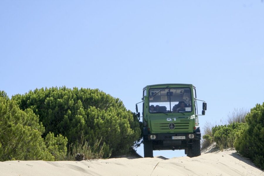 From Seville: Doñana Natural Park, El Rocio and Matalascañas - The 105-minute ride out from Seville