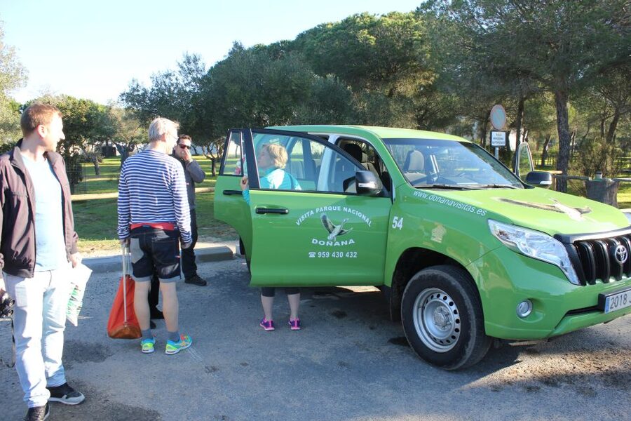 From Seville: Doñana Natural Park, El Rocio and Matalascañas - The real value of a $105 day trip