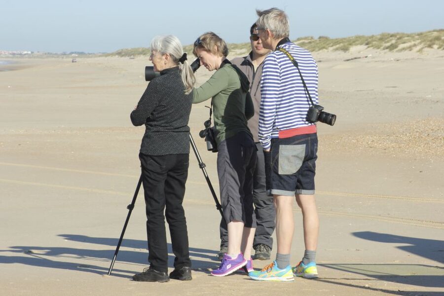 From Seville: Doñana Natural Park, El Rocio and Matalascañas - Practical ways to make the day better